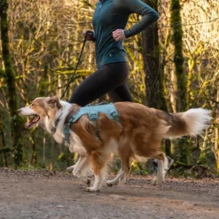 Ruffwear Web Master Hundesele Turkis