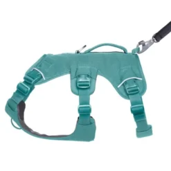 Ruffwear Web Master Hundesele Turkis