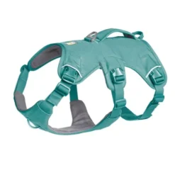 Ruffwear Web Master Hundesele Turkis