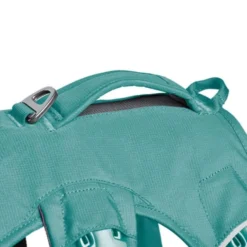 Ruffwear Web Master Hundesele Turkis