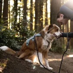 Ruffwear Web Master Hundesele Turkis