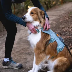 Ruffwear Web Master Hundesele Turkis