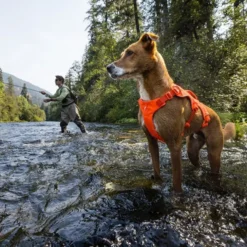 Ruffwear Web Master hundesele, Blaze Orange