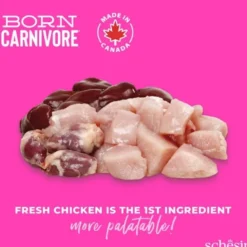 Schesir Born Carnivore Kylling og Egg Kattunge