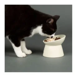 Scruffs Icon Hevet Matskål til Katt Hvit
