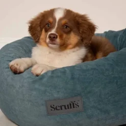 Scruffs Oslo Hundeseng, turkis