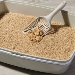 Smily Eco Wood Chips 20 L