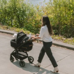 Tavo Roscoe Trek stroller frame