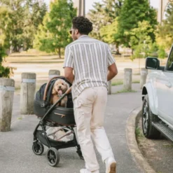 Tavo Roscoe Trek stroller frame
