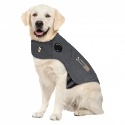 Thundershirt til Hund