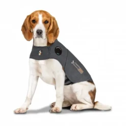 Thundershirt til Hund