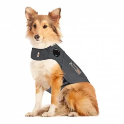 Thundershirt til Hund