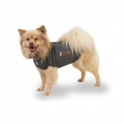 Thundershirt til Hund
