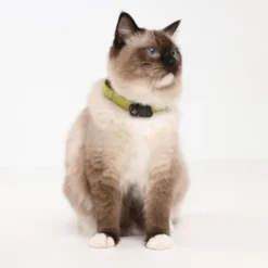 Tickless Mini Cat Elektronisk Flåttavviser
