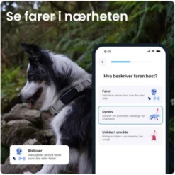 Tractive GPS & Health Tracker for Hund Sort