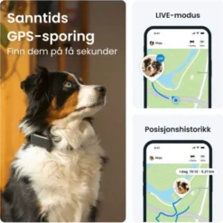 Tractive GPS & Health Tracker for Hund Sort
