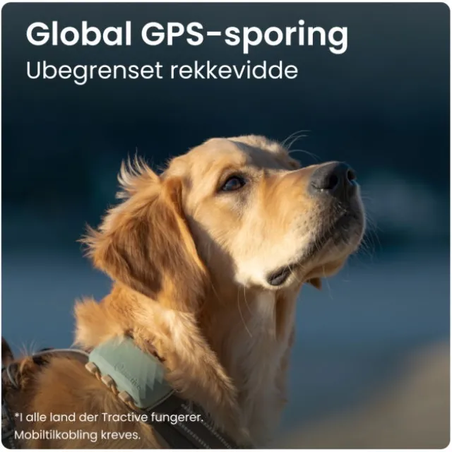 Tractive GPS til hund XL