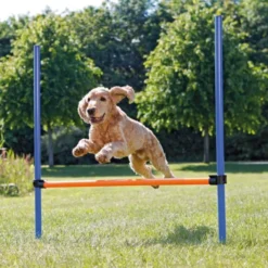 Trixie Agility Hopphinder 123x115cm