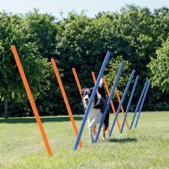 Trixie Agility Slalompinner 12-pk