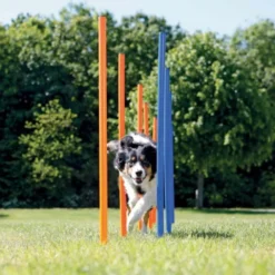 Trixie Agility Slalompinner 12-pk