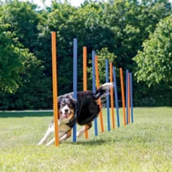 Trixie Agility Slalompinner 12-pk