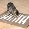 Trixie Aktivitetsleke til katt Play Blanket
