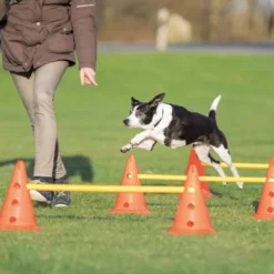 Trixie Dog Activity hindersett, 3 hindre og 6 kjegler