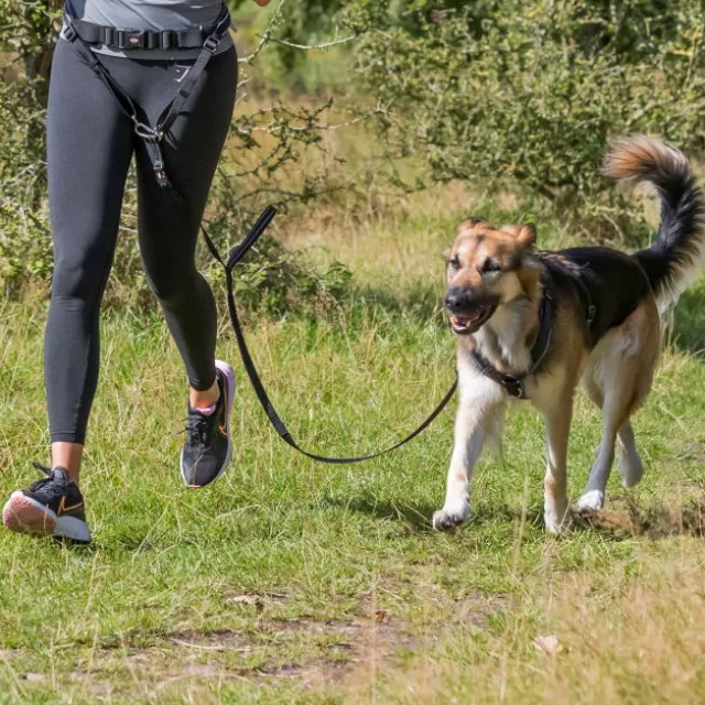 Trixie Hoftebelte med kobbel