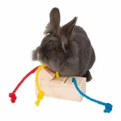 Trixie Snack Cube leker til gnager & fugl i tre 16×6×7 cm