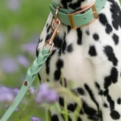 Tyylivoitto Classy Hundehalsbånd, Mint