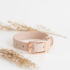 Tyylivoitto Classy Hundehalsbånd Liten Modell, Beige