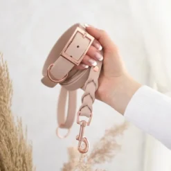 Tyylivoitto Classy Hundehalsbånd, Beige