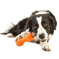 West Paw Qwizl orange