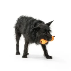 West Paw Qwizl orange