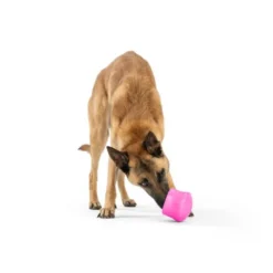 West Paw Toppl Limited Edition Rosa