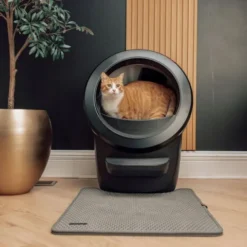 Whisker Litter-Robot 4 Selvrensende Kattetoalett Sort