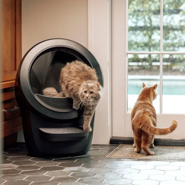 Whisker Litter-Robot 4 Selvrensende Kattetoalett Sort