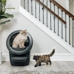 Whisker Litter-Robot 4 Selvrensende Kattetoalett Sort