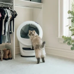 Whisker Litter-Robot 4 Selvrensende Kattetoalett Hvit